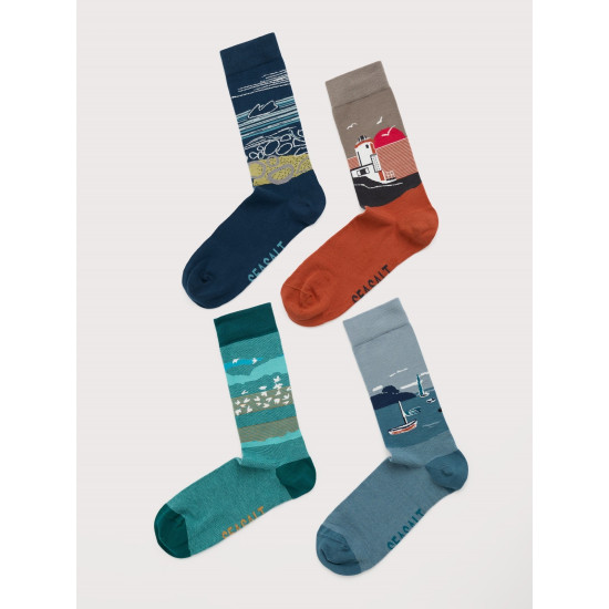 Seasalt Gift Box of 4 Men's Scenic Arty Socks - Foreground Mix