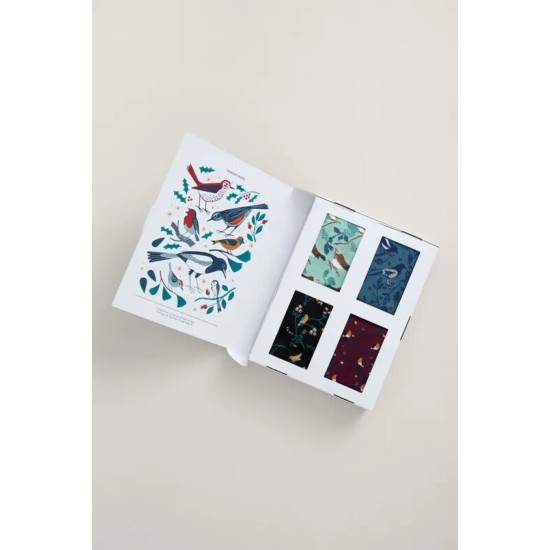 Seasalt Gift Box of 4 Women's Sailor Socks - Bird Table Mix