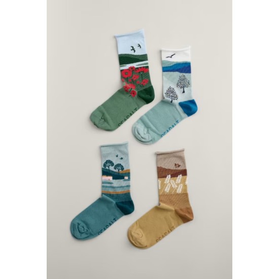 Seasalt Gift Box of 4 Women's Scenic Sailor Socks - Hall Walk Mix