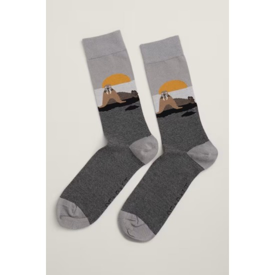 Seasalt Men's Arty Organic Cotton Socks - Zoze Point Seal Grey