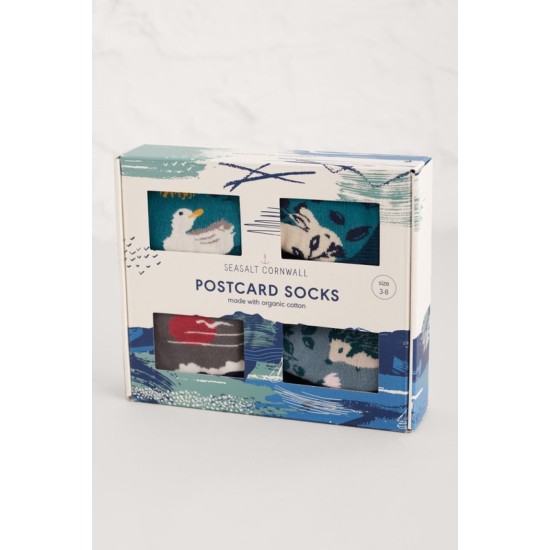 Seasalt Women's Postcard Socks Box O'4 - Penrose Hill Mix